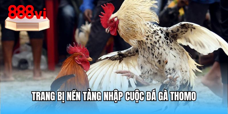 Trang bị nền tảng nhập cuộc đá gà Thomo